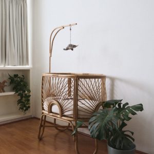 Moises de ratán, Mim