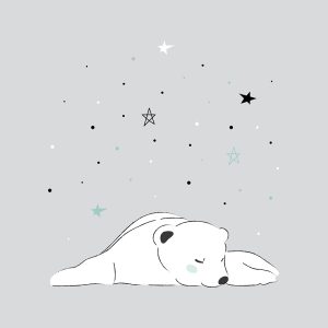 Lámina oso polar dormido