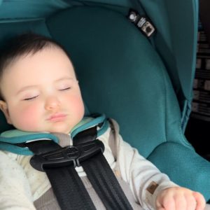 Carriola, Sistema de viaje modular 5 en 1, Spring Meadow, Zelia² Maxi-Cosi