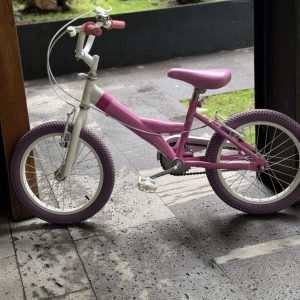 Bicicleta de niña, Sin marca