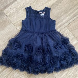 Vestido de fiesta, 12-18 meses, Nanette Lepore Girls