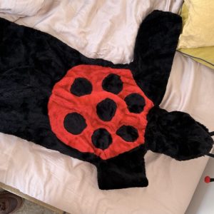 Disfraz de Catarina, 4-6 años, Sin marca