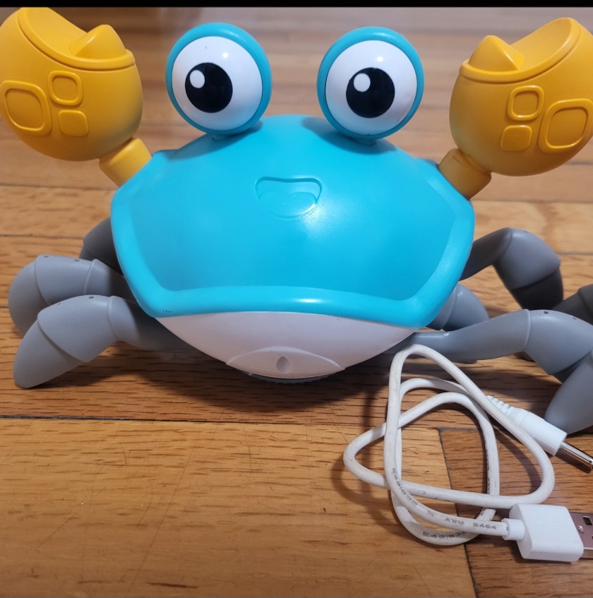 Cangrejos de caminata, Sin marca - Imagen 2