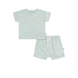 Conjunto 2 piezas, 2-3 años, Gerber